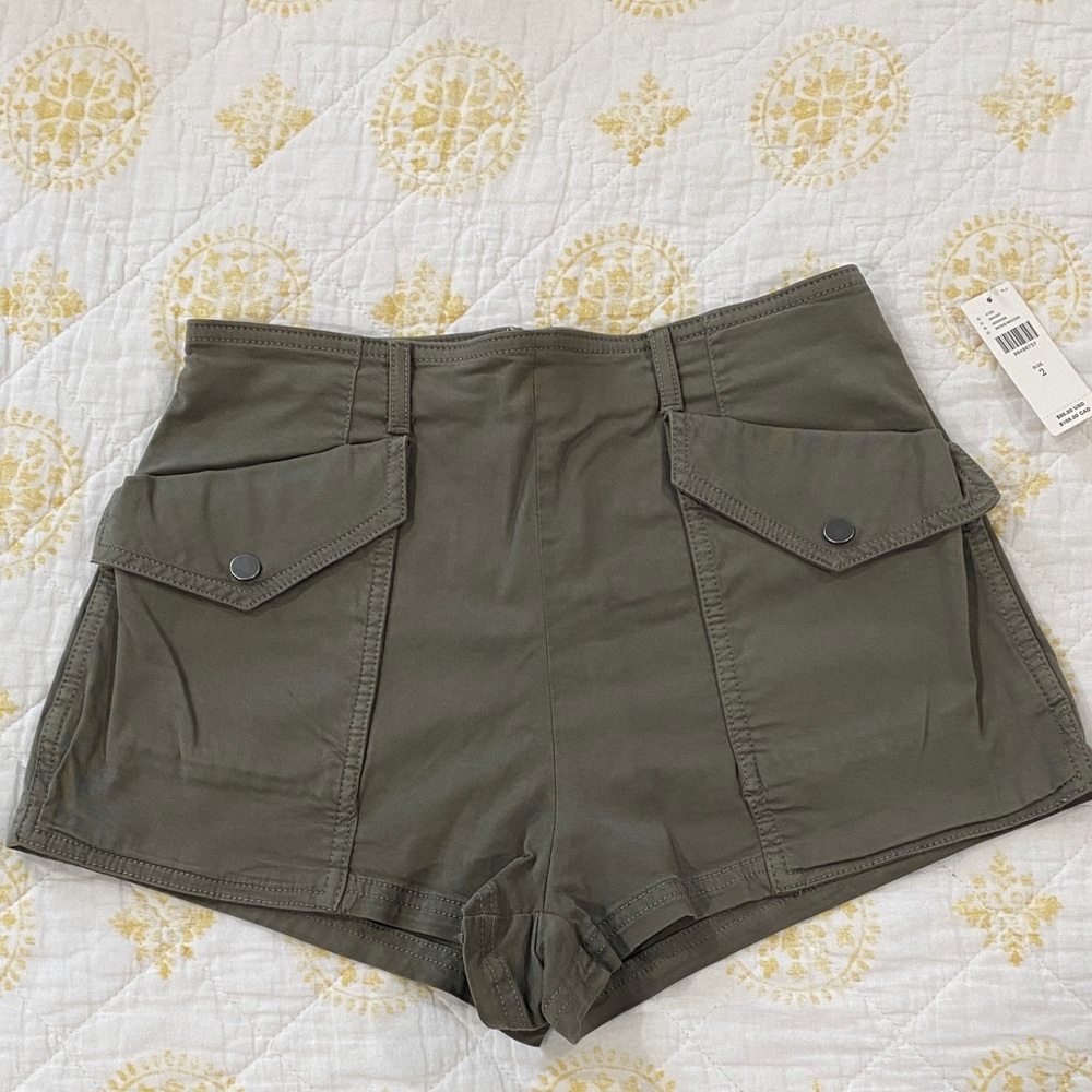 Anthropology Shorts
